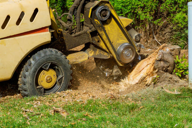 Best Aeration Services  in St Pauls, NC